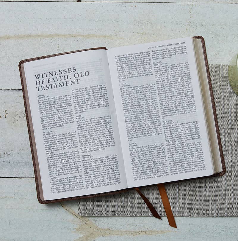 HarperCollins Christian Publishing - NRSV Catholic Edition Gift Bible, Black Leathersoft (Comfort