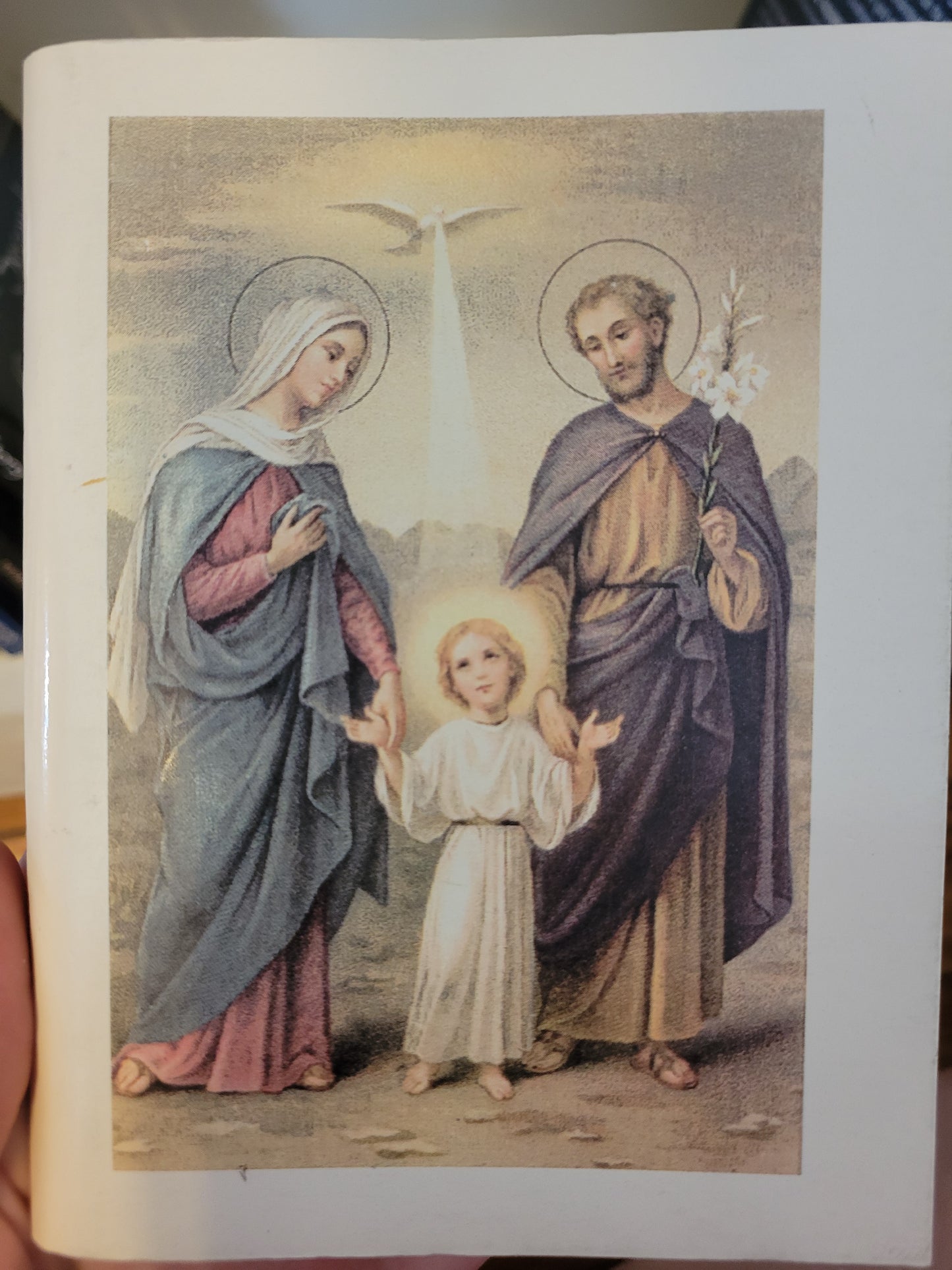 Handbook of the Sodality of the Blessed Virgin Mary