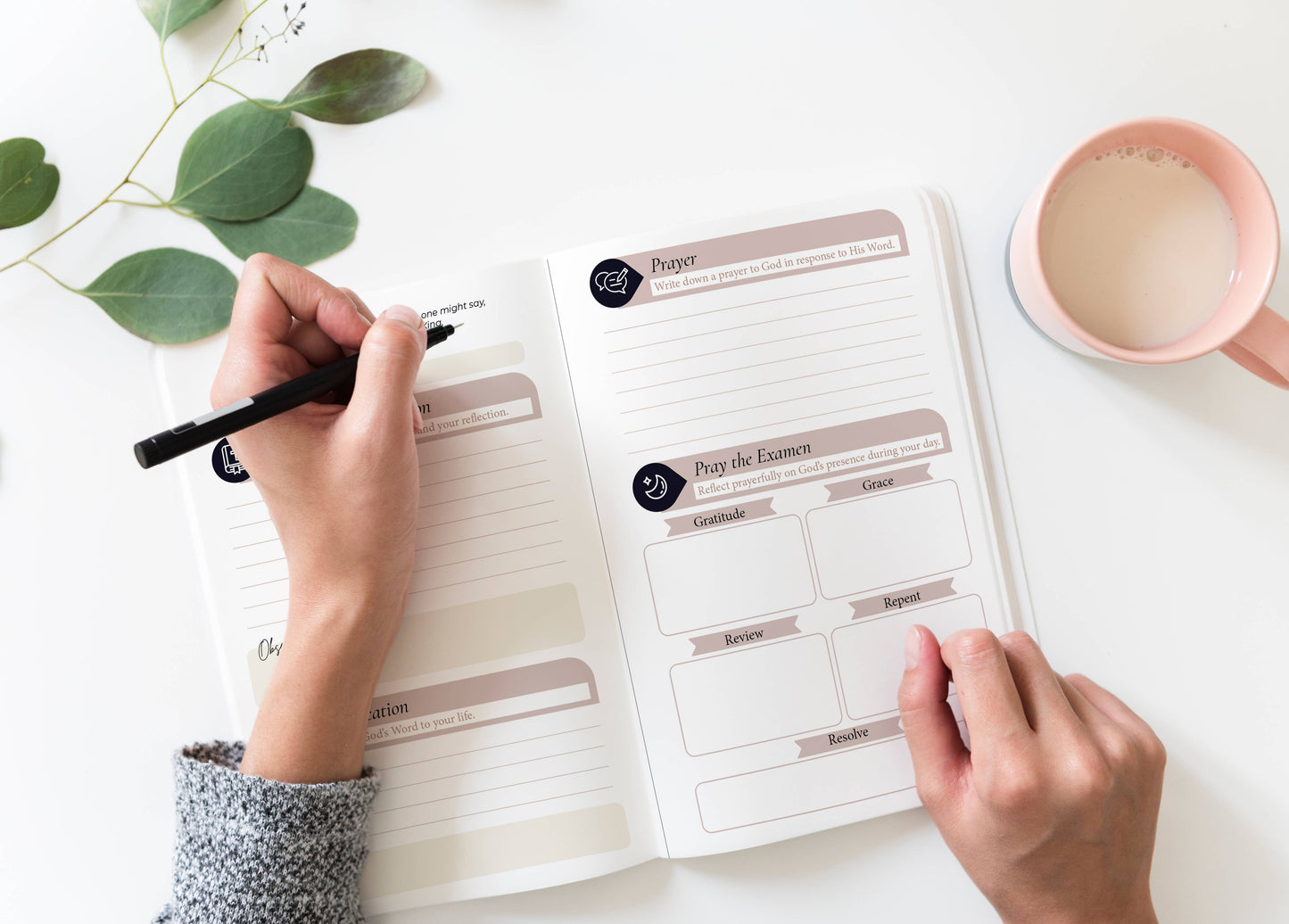 The Stump of Jesse - Catholic PrayerJournal | Lectio Divina | Examen St. Ignatius