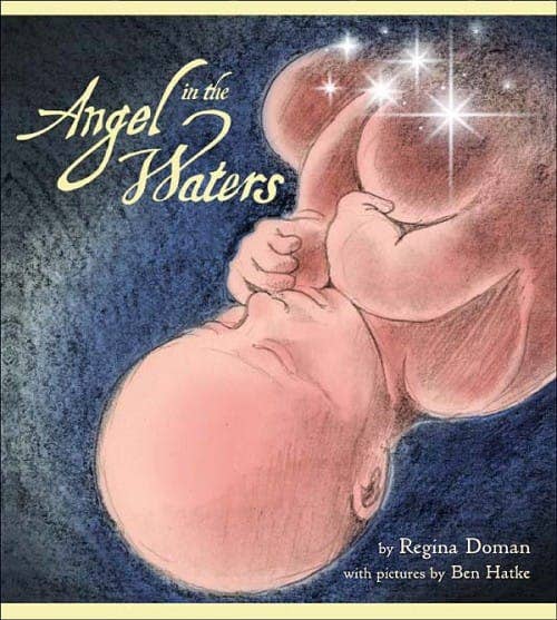 Sophia Institute Press - Angel In the Waters