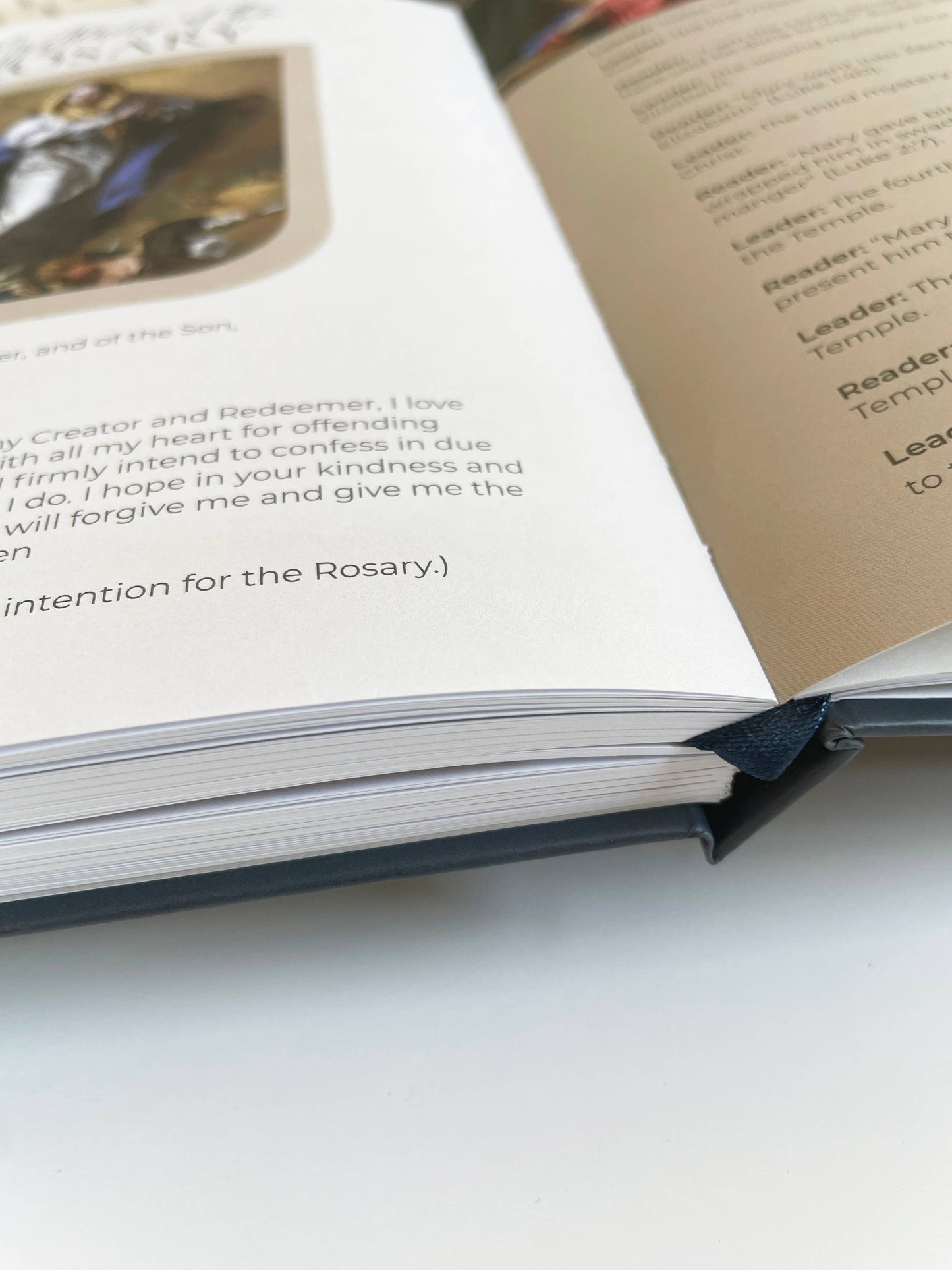 The Stump of Jesse - Catholic PrayerJournal | Lectio Divina | Examen St. Ignatius