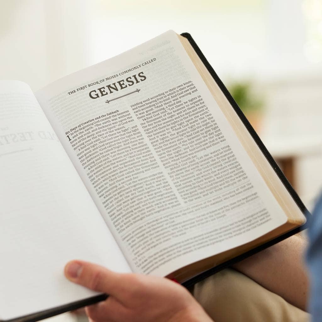RSV2CE Thinline Large Print Catholic Bible Leathersoft