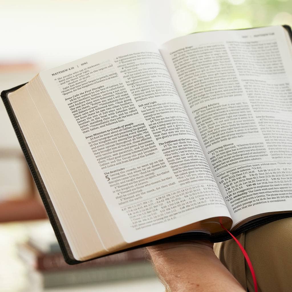 RSV2CE Thinline Large Print Catholic Bible Leathersoft