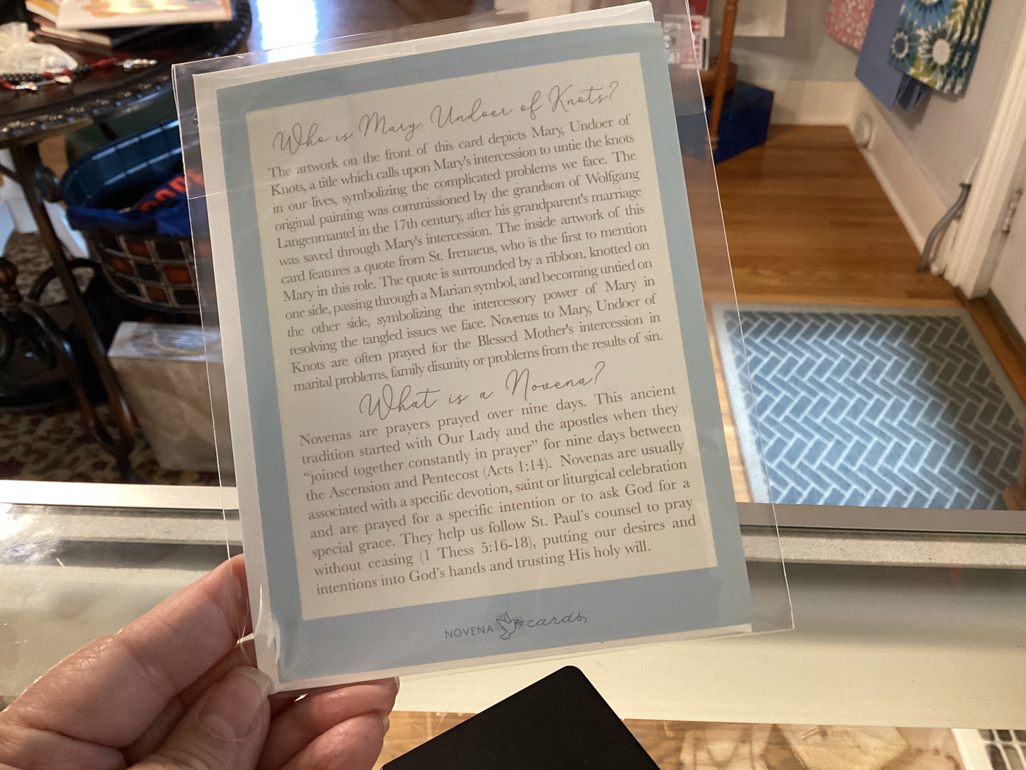 Mary, Undoer of Knots Novena Card | Blue
