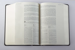 New American Bible Catholic Notetaking Bible