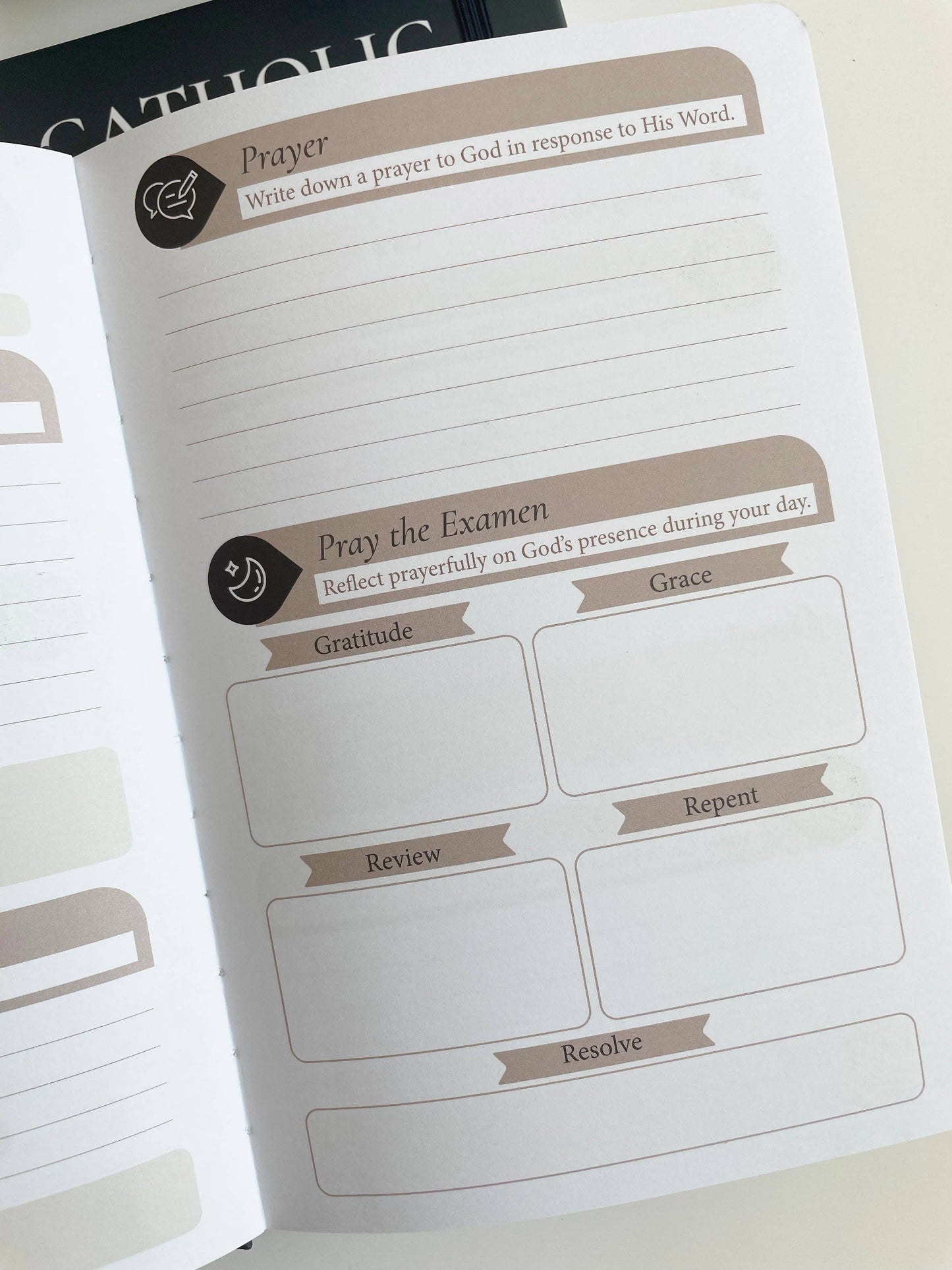 The Stump of Jesse - Catholic PrayerJournal | Lectio Divina | Examen St. Ignatius