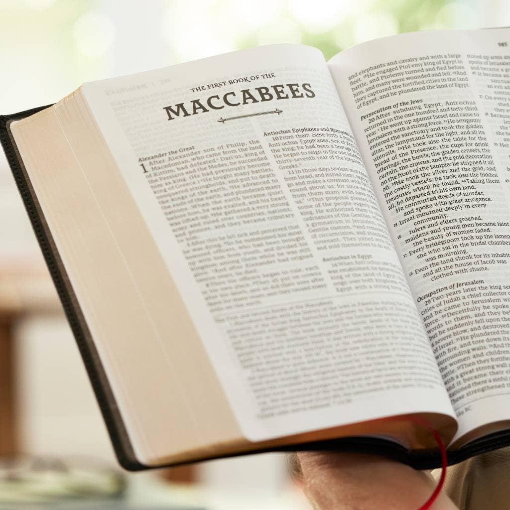 RSV2CE Thinline Large Print Catholic Bible Leathersoft