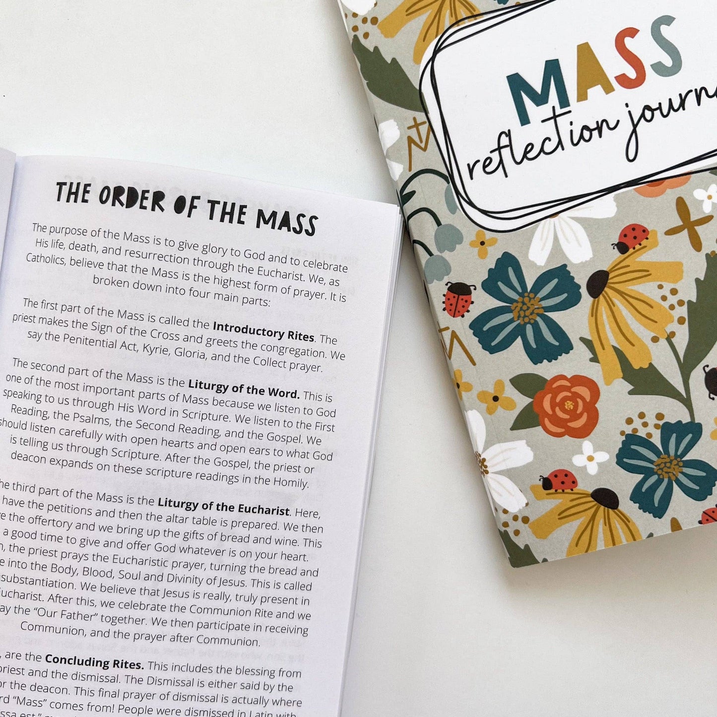 The Little Rose Shop - My Mass Reflection Journal
