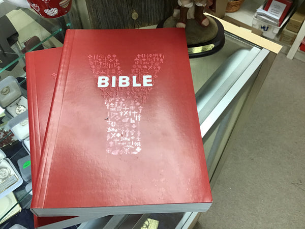 Youcat Bible